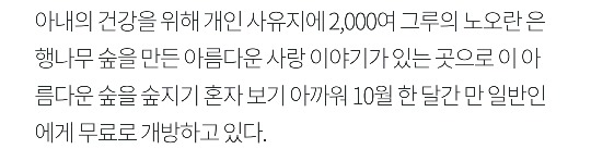 [국내여행] 가을가을한 국내 낭만 여행지 BEST 5 | 인스티즈