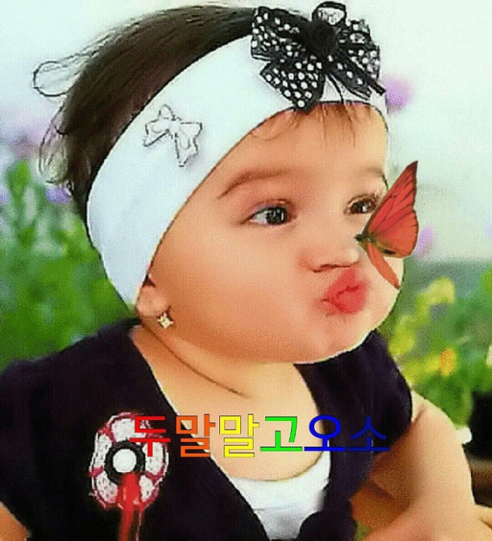 오소 이미지