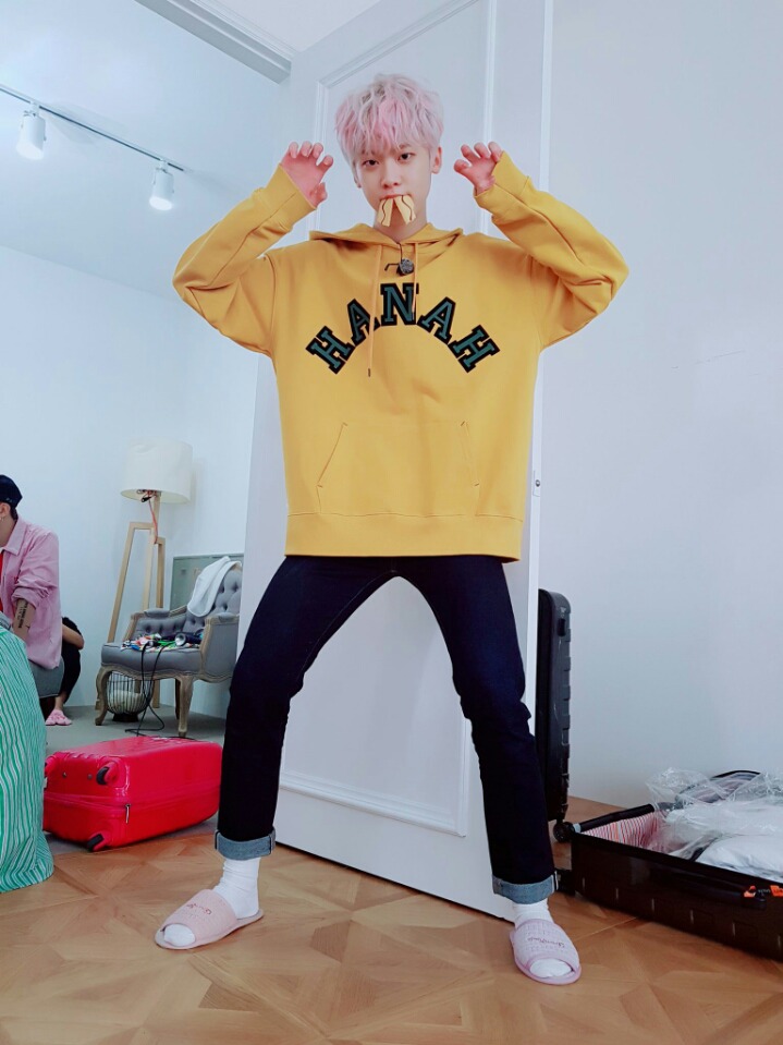 달콩 이미지