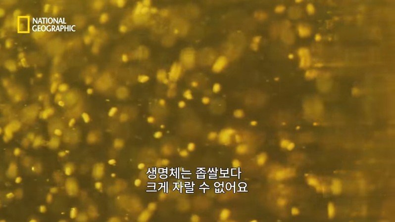 댈롤 화산: 지옥과 같은 이곳에 사는 단 하나의 생명체 | 인스티즈
