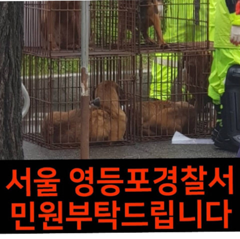 집회 도구로 개를 끌고 다니는 육견협회 좀 막아줘 (도로에 드러누워서 12시까지 시위할거래 그동안 개들은 학대당해야돼 개들 화형하려고 시도한적도 있대)🚨 | 인스티즈