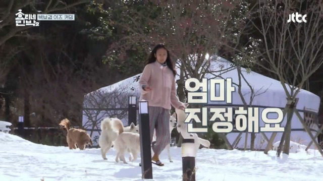 [효리네민박2] 박보검을 본 이효리 반응.jpg | 인스티즈