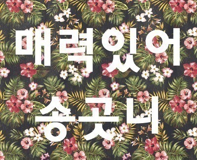 개인 급여 수준에 따라 다른 스위스 속도위반 벌금.jpg | 인스티즈