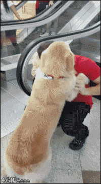 에스컬레이터가 무서운 인절미.gif | 인스티즈