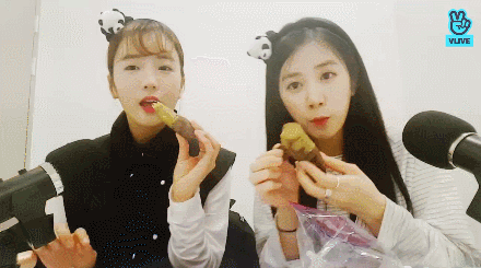 고구마 먹는 보미와 초롱.gif | 인스티즈