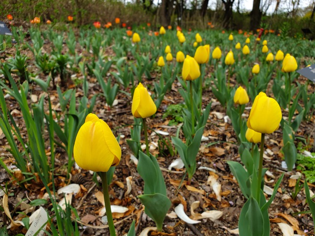 99BA38455CBD0BDD0ACF11