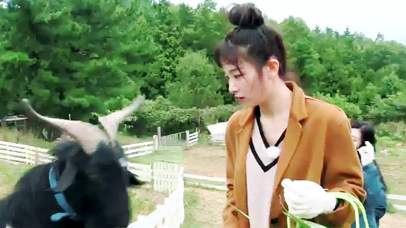 리얼리티에서 귀여운 슬기.gif | 인스티즈