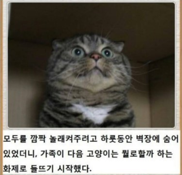 제목학원 레전드 모음 (귀여운것들 섞여잇음) | 인스티즈