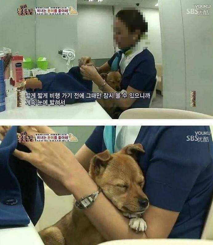 얘 개가 아닐지도 몰라 | 인스티즈