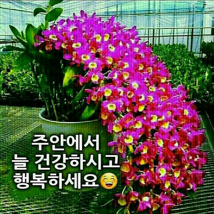 참좋은일터 이미지