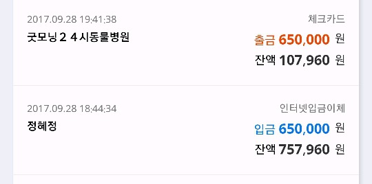 고양이 통장내역 피드백 | 인스티즈