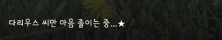 다리 다친 아기사슴을 구해주면 생기는 일 | 인스티즈