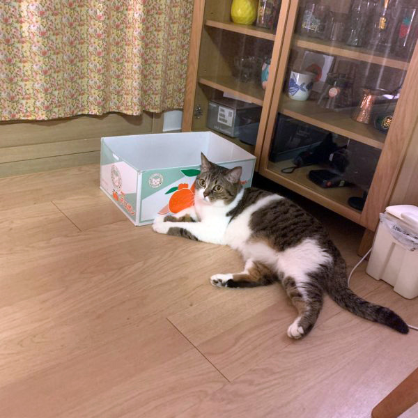 성내중학교 이미지