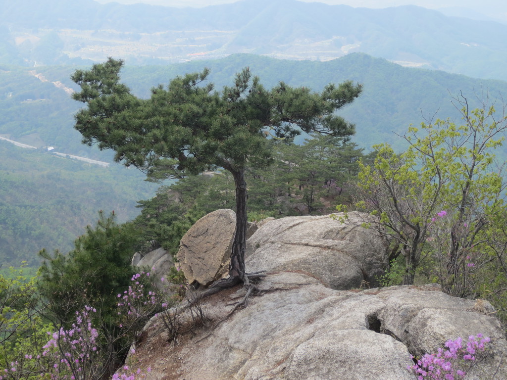 운악산자연휴양림 이미지