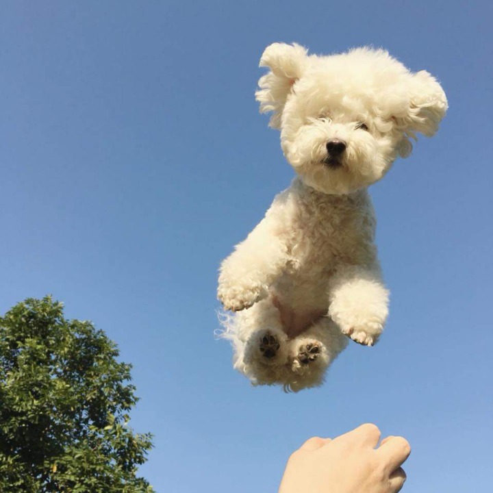 강대 이미지