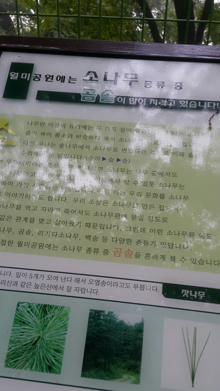 월미랜드 이미지