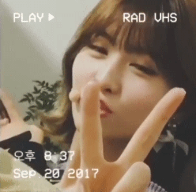 트와이스 모챙 티비 움짤 | 인스티즈