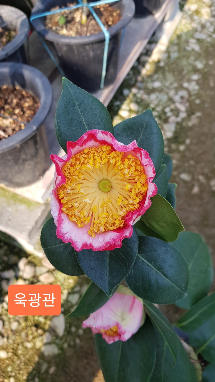 히고 이미지