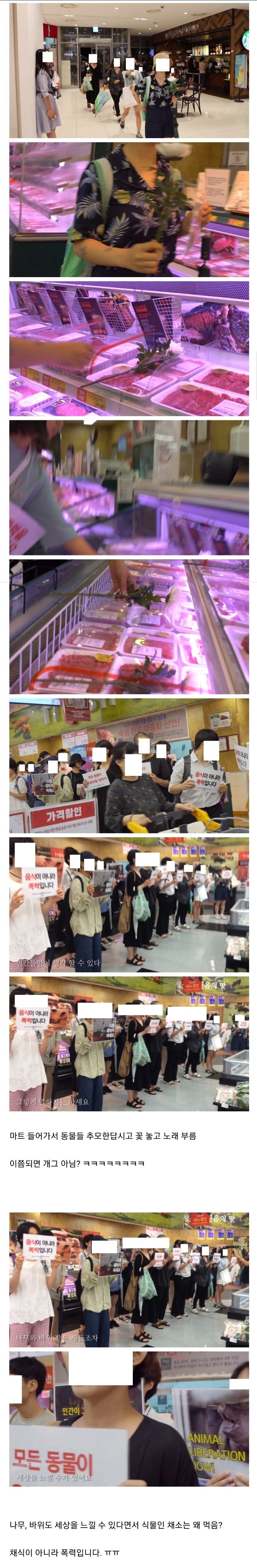 대형마트 정육코너 찾아가서 기습 시위하는 채식주의자 | 인스티즈