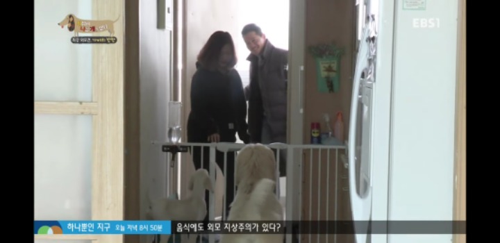 [고양이를부탁해] 세나개 강아지들과 고양이의 차이.jpg | 인스티즈