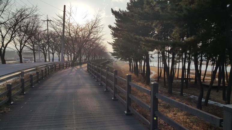 해파랑길 25코스 이미지