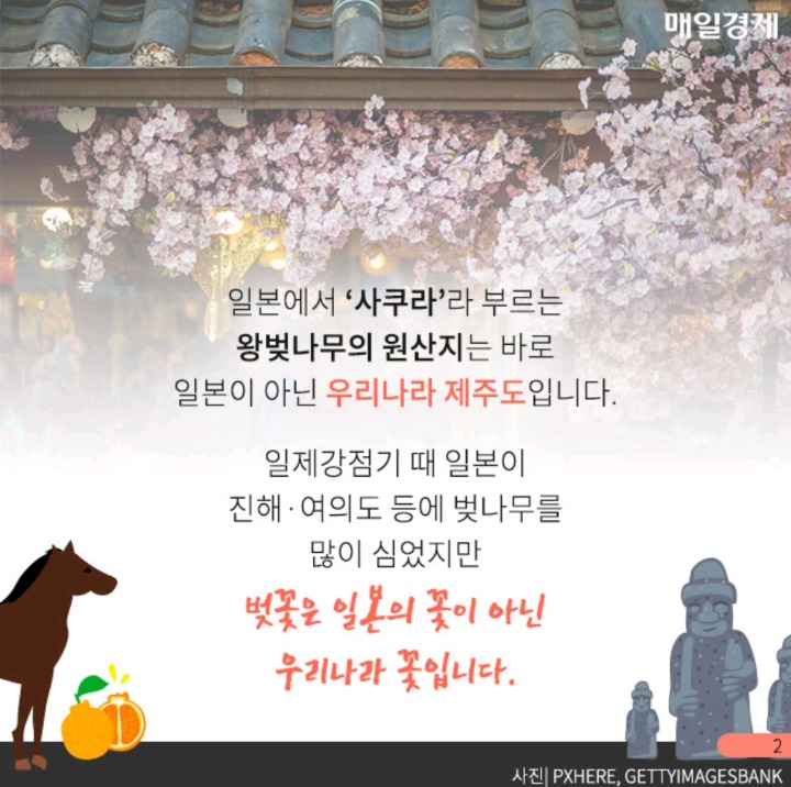 일본이 원조라고 착각해온 것들 | 인스티즈