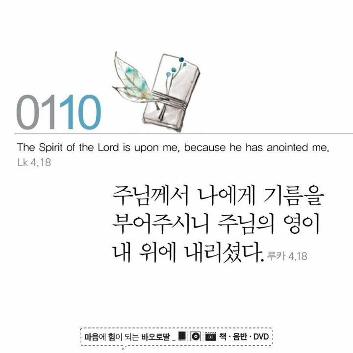 정성로스 이미지