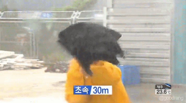 초속 10-30m 실험.gif | 인스티즈