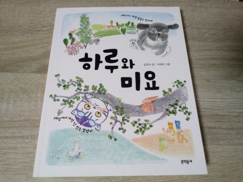 미요 이미지