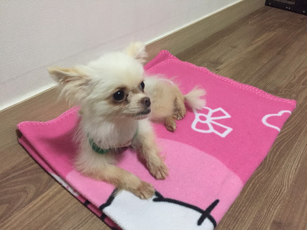 째깐이 이미지