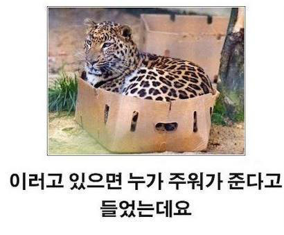 제목학원 레전드.jpg | 인스티즈