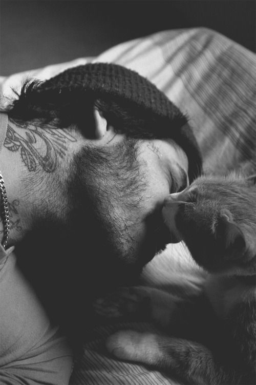 고양이 | 인스티즈