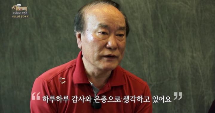 [세나개] 여러분에게 노견은 어떤 의미인가요? | 인스티즈