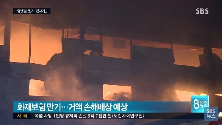 담뱃불을 잘 꺼야하는 이유 | 인스티즈