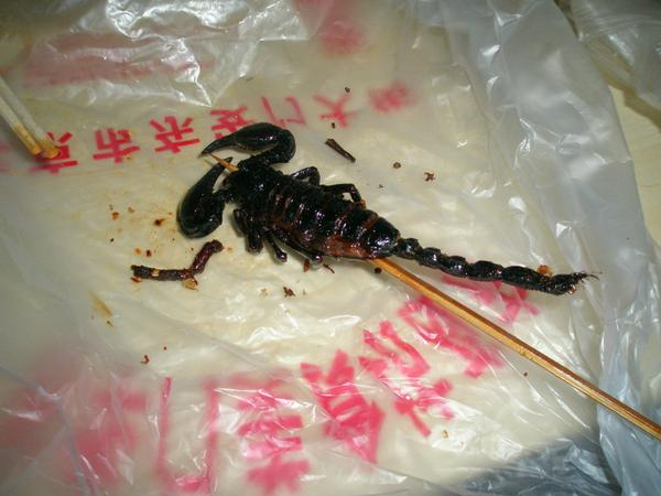 중국 벌레꼬치 리뷰! - 왕푸징거리 혐오음식 상세분석 (혐오주의) | 인스티즈