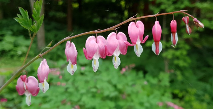 99FC68435CD8BF41132C76