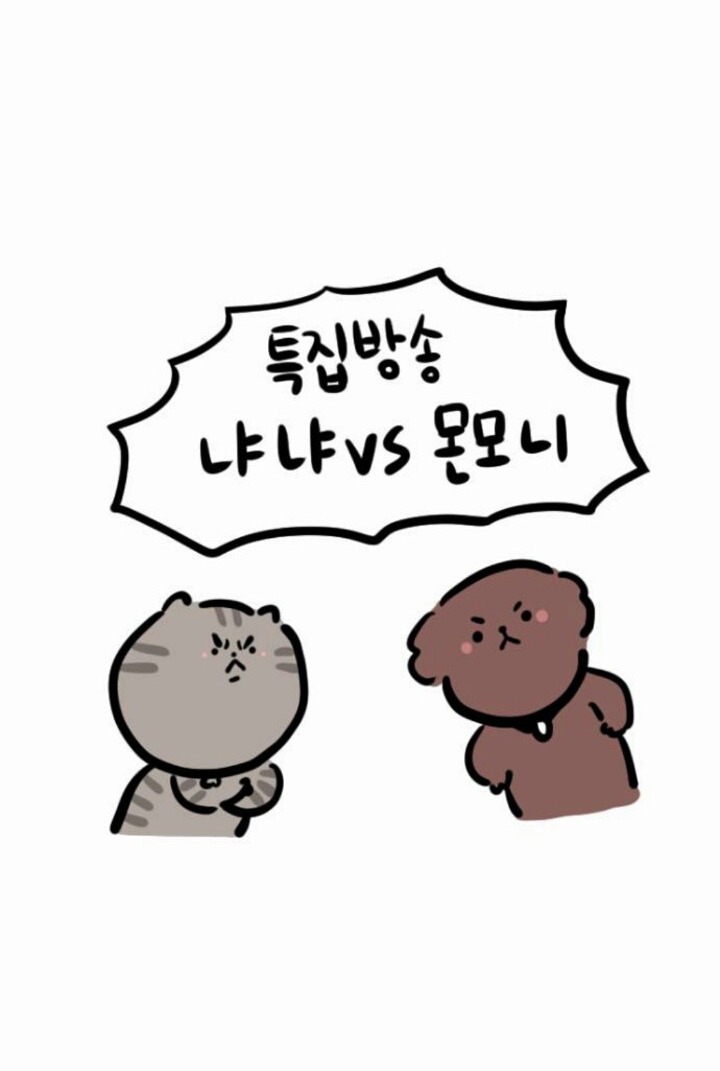 개와 고양이의 차이 | 인스티즈